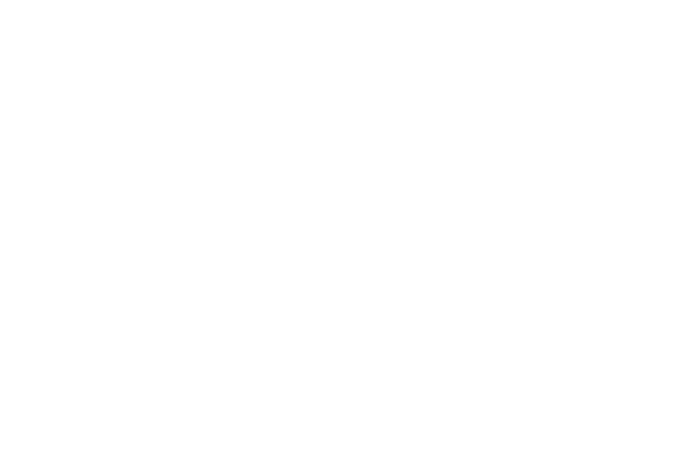 FAISG — F&A Investment Support Group